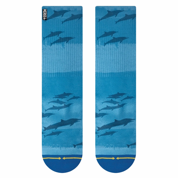 Dave Nelson Dolphins