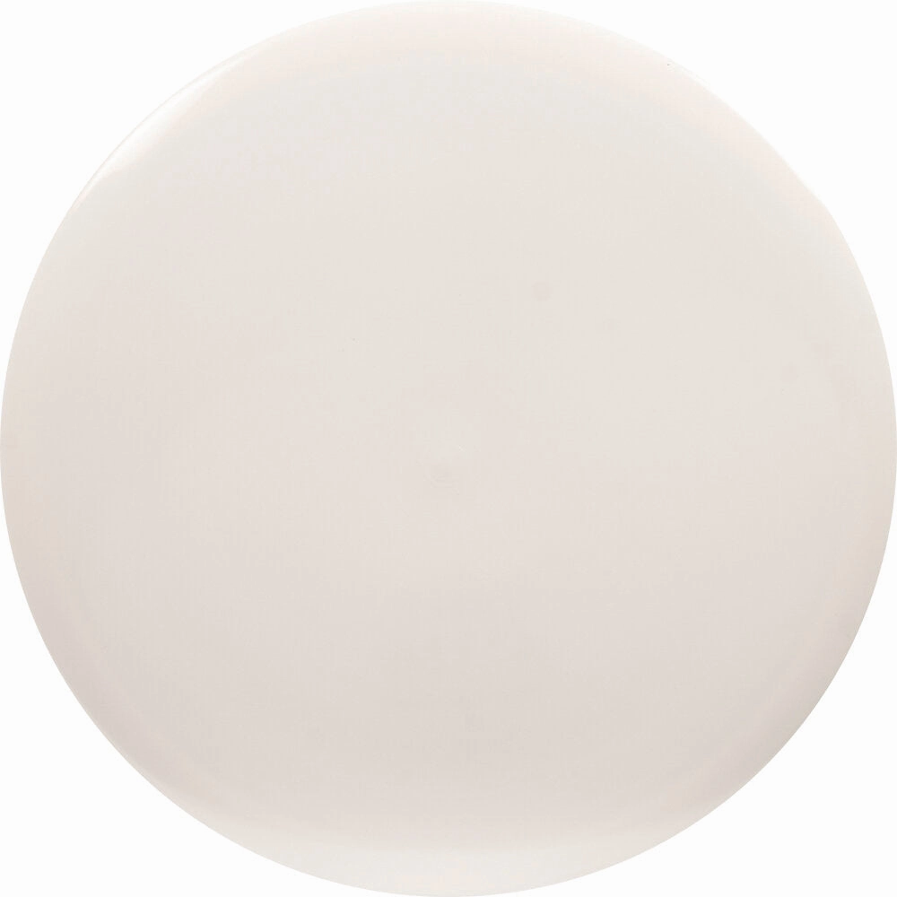 Gold Fuse Blank Canvas