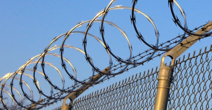 Stainless Steel Ribbon Barbed Wire